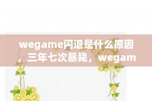 wegame闪退是什么原因，三年七次暴毙，wegame的尸检报告与开发者未寄出的遗书