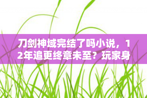 刀剑神域完结了吗小说，12年追更终章未至？玩家身份之谜下，谁懂这心酸等待！