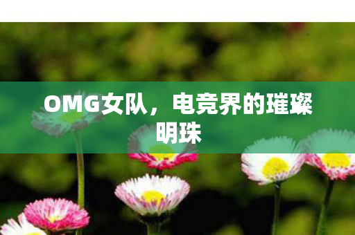OMG女队,电竞界的璀璨明珠 OMG女队,电竞界的璀璨明珠