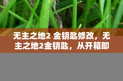 无主之地2 金钥匙修改,无主之地2金钥匙,从开箱即巅峰到笑着笑着哭了的落差真相 无主之地2 金钥匙修改,无主之地2金钥匙,从开箱即巅峰到笑着笑着哭了的落差真相
