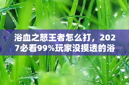 浴血之怒王者怎么打,2027必看99%玩家没摸透的浴血之怒3大革新,错过血亏! 浴血之怒王者怎么打,2027必看99%玩家没摸透的浴血之怒3大革新,错过血亏!