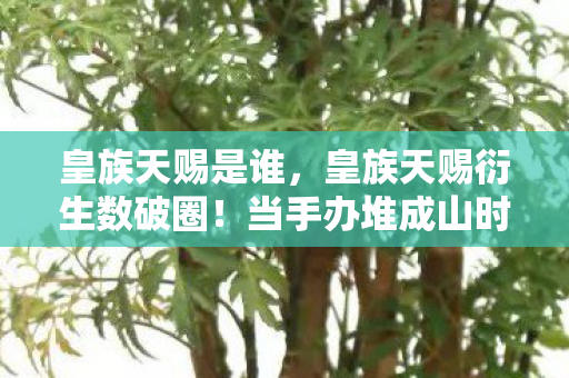 皇族天赐是谁,皇族天赐衍生数破圈!当手办堆成山时,我竟在冰箱里找到了意想不到的宝藏 皇族天赐是谁,皇族天赐衍生数破圈!当手办堆成山时,我竟在冰箱里找到了意想不到的宝藏