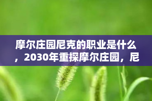 摩尔庄园尼克的职业是什么,2030年重探摩尔庄园,尼克职业之谜,竟藏惊天秘密! 摩尔庄园尼克的职业是什么,2030年重探摩尔庄园,尼克职业之谜,竟藏惊天秘密!