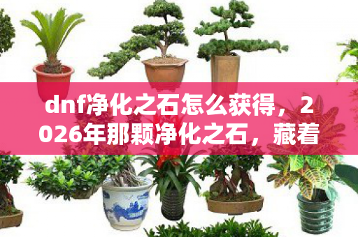 dnf净化之石怎么获得,2026年那颗净化之石,藏着我们的约定,如今想起鼻子一酸 dnf净化之石怎么获得,2026年那颗净化之石,藏着我们的约定,如今想起鼻子一酸