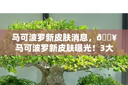 马可波罗新皮肤消息,🔥马可波罗新皮肤曝光!3大特效炸裂,神秘彩蛋藏惊天秘密? 马可波罗新皮肤消息,🔥马可波罗新皮肤曝光!3大特效炸裂,神秘彩蛋藏惊天秘密?