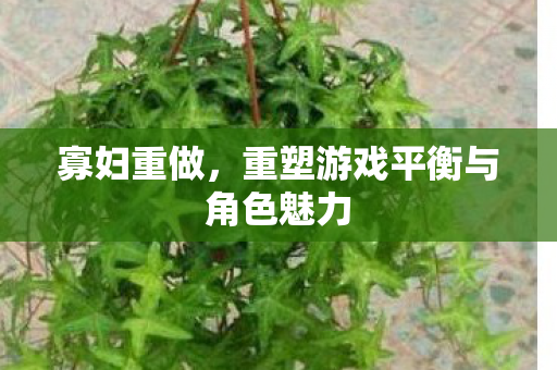 寡妇重做，重塑游戏平衡与角色魅力