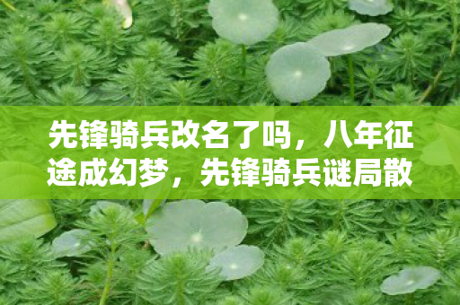 先锋骑兵改名了吗，八年征途成幻梦，先锋骑兵谜局散，泪目终章已落幕