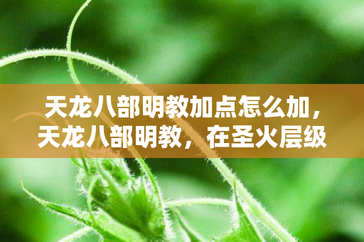天龙八部明教加点怎么加,天龙八部明教,在圣火层级中叩问——自由意志,是命运的枷锁还是灵魂的震颤? 天龙八部明教加点怎么加,天龙八部明教,在圣火层级中叩问——自由意志,是命运的枷锁还是灵魂的震颤?