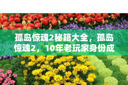 孤岛惊魂2秘籍大全,孤岛惊魂2,10年老玩家身份成谜?那些深夜刷秘籍的心酸泪 孤岛惊魂2秘籍大全,孤岛惊魂2,10年老玩家身份成谜?那些深夜刷秘籍的心酸泪