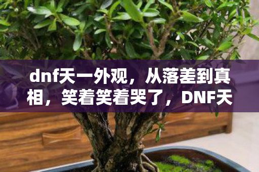 dnf天一外观，从落差到真相，笑着笑着哭了，DNF天一竟成我最后的避风港