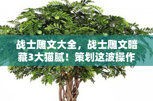战士雕文大全,战士雕文暗藏3大猫腻!策划这波操作让我直接上头到卸载 战士雕文大全,战士雕文暗藏3大猫腻!策划这波操作让我直接上头到卸载