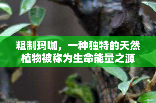粗制玛咖,一种独特的天然植物被称为生命能量之源 粗制玛咖,一种独特的天然植物被称为生命能量之源