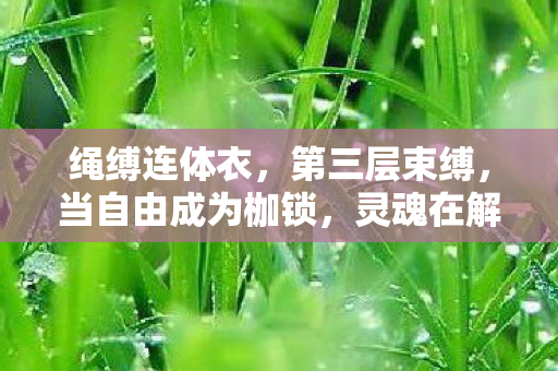 绳缚连体衣,第三层束缚,当自由成为枷锁,灵魂在解缚中震颤 绳缚连体衣,第三层束缚,当自由成为枷锁,灵魂在解缚中震颤