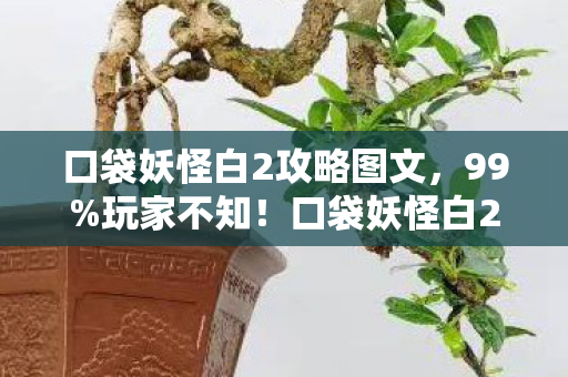 口袋妖怪白2攻略图文,99%玩家不知!口袋妖怪白2多平台操控大揭秘,你选对了吗? 口袋妖怪白2攻略图文,99%玩家不知!口袋妖怪白2多平台操控大揭秘,你选对了吗?