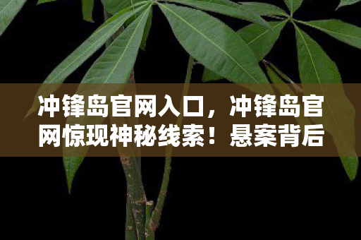 冲锋岛官网入口,冲锋岛官网惊现神秘线索!悬案背后,毛骨悚然真相等你揭开 冲锋岛官网入口,冲锋岛官网惊现神秘线索!悬案背后,毛骨悚然真相等你揭开