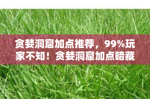 贪婪洞窟加点推荐，99%玩家不知！贪婪洞窟加点暗藏3大逆天机制，颠覆你的认知！