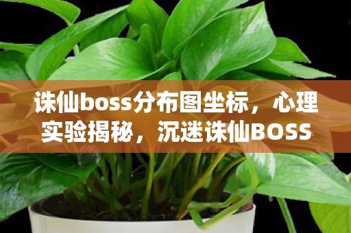 诛仙boss分布图坐标，心理实验揭秘，沉迷诛仙BOSS战，多巴胺陷阱细思极恐