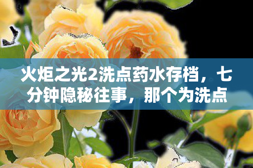 火炬之光2洗点药水存档，七分钟隐秘往事，那个为洗点药水哽咽的通宵夜