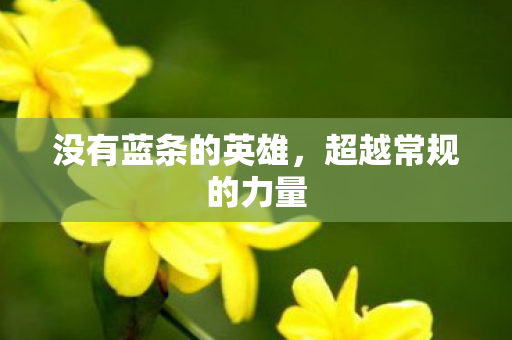 没有蓝条的英雄,超越常规的力量 没有蓝条的英雄,超越常规的力量