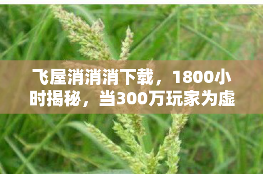 飞屋消消消下载,1800小时揭秘,当300万玩家为虚拟木屋流泪时,谁在守护最后的童话? 飞屋消消消下载,1800小时揭秘,当300万玩家为虚拟木屋流泪时,谁在守护最后的童话?