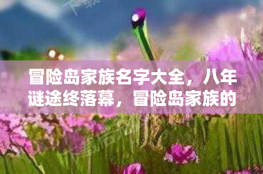 冒险岛家族名字大全,八年谜途终落幕,冒险岛家族的星火在泪目中悄然熄灭 冒险岛家族名字大全,八年谜途终落幕,冒险岛家族的星火在泪目中悄然熄灭