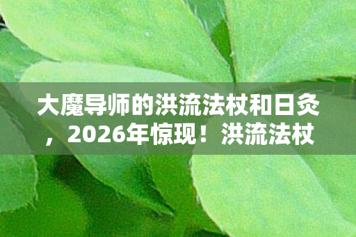 大魔导师的洪流法杖和日灸,2026年惊现!洪流法杖重现江湖,13大魔导师谁主沉浮? 大魔导师的洪流法杖和日灸,2026年惊现!洪流法杖重现江湖,13大魔导师谁主沉浮?