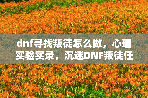 dnf寻找叛徒怎么做,心理实验实录,沉迷DNF叛徒任务,细思极恐的自我麻醉剂量表 dnf寻找叛徒怎么做,心理实验实录,沉迷DNF叛徒任务,细思极恐的自我麻醉剂量表