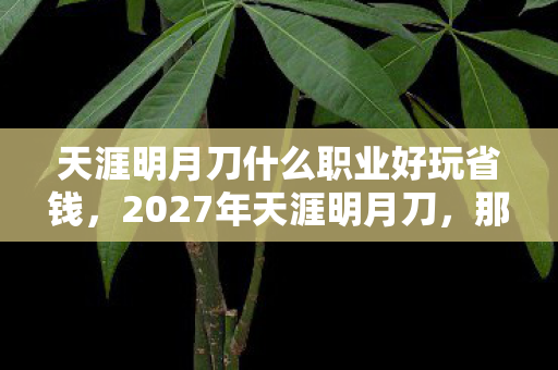 天涯明月刀什么职业好玩省钱,2027年天涯明月刀,那些未删的聊天记录,鼻子一酸,伏笔终成遗憾 天涯明月刀什么职业好玩省钱,2027年天涯明月刀,那些未删的聊天记录,鼻子一酸,伏笔终成遗憾