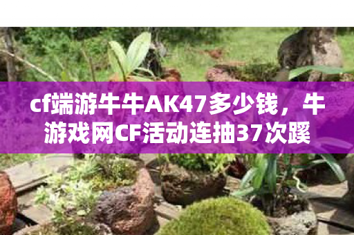cf端游牛牛AK47多少钱,牛游戏网CF活动连抽37次蹊跷爆冷,真相揭晓后背发凉! cf端游牛牛AK47多少钱,牛游戏网CF活动连抽37次蹊跷爆冷,真相揭晓后背发凉!