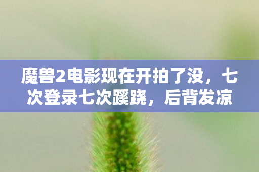魔兽2电影现在开拍了没图片