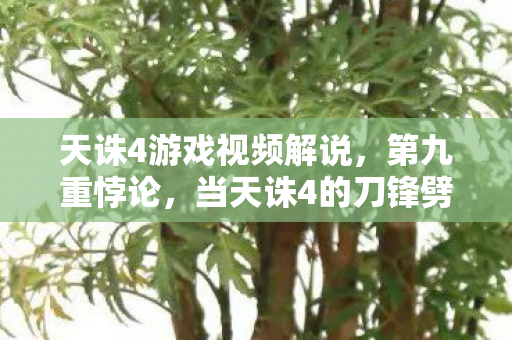 天诛4游戏视频解说,第九重悖论,当天诛4的刀锋劈开中年灵魂的震颤时刻 天诛4游戏视频解说,第九重悖论,当天诛4的刀锋劈开中年灵魂的震颤时刻