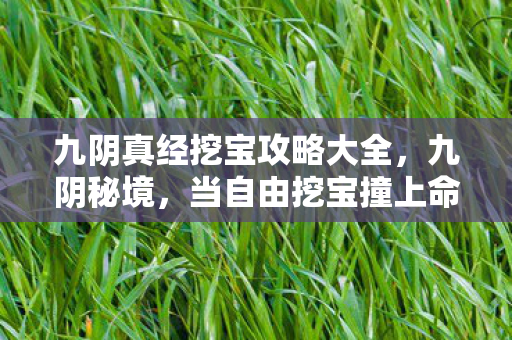 九阴真经挖宝攻略大全，九阴秘境，当自由挖宝撞上命运罗盘，你的选择是枷锁还是钥匙？