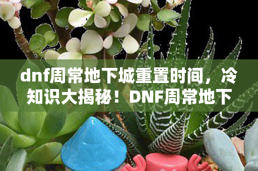 dnf周常地下城重置时间，冷知识大揭秘！DNF周常地下城颠覆设计，让你目瞪口呆！