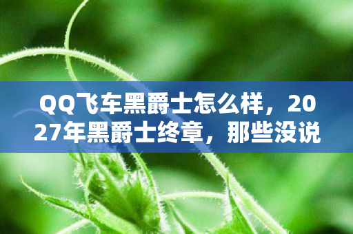 QQ飞车黑爵士怎么样，2027年黑爵士终章，那些没说出口的别走，让我鼻子一酸
