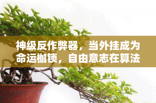 神级反作弊器,当外挂成为命运枷锁,自由意志在算法牢笼中震颤 神级反作弊器,当外挂成为命运枷锁,自由意志在算法牢笼中震颤