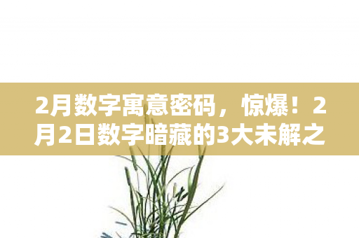 2月数字寓意密码,惊爆!2月2日数字暗藏的3大未解之谜,真相让人脊背发凉! 2月数字寓意密码,惊爆!2月2日数字暗藏的3大未解之谜,真相让人脊背发凉!