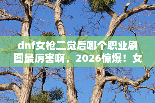 dnf女枪二觉后哪个职业刷图最厉害啊,2026惊爆!女枪二觉后谁称王?那些深夜的等你,鼻子一酸才懂 dnf女枪二觉后哪个职业刷图最厉害啊,2026惊爆!女枪二觉后谁称王?那些深夜的等你,鼻子一酸才懂