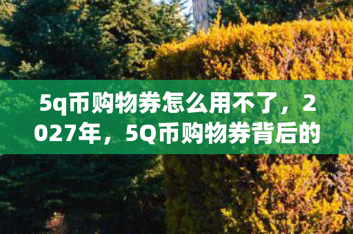 5q币购物券怎么用不了,2027年,5Q币购物券背后的伏笔,让我鼻子一酸 5q币购物券怎么用不了,2027年,5Q币购物券背后的伏笔,让我鼻子一酸