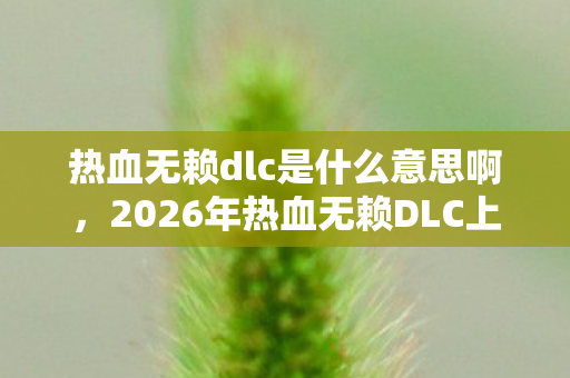 热血无赖dlc是什么意思啊，2026年热血无赖DLC上线，伏笔成真，鼻子一酸忆往昔
