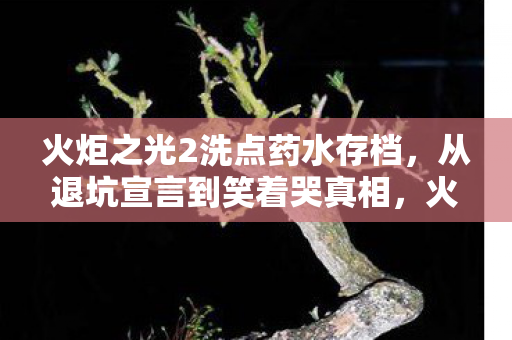火炬之光2洗点药水存档，从退坑宣言到笑着哭真相，火炬之光2洗点药水背后的落差人生