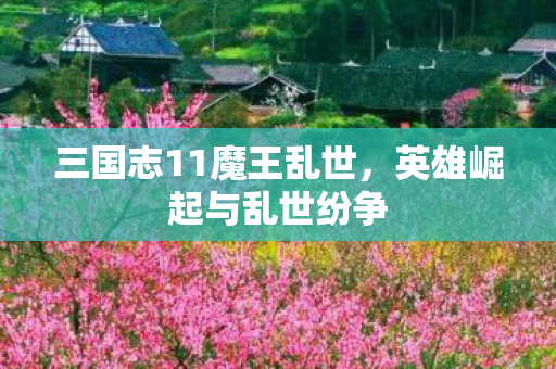 三国志11魔王乱世，英雄崛起与乱世纷争
