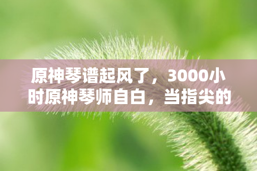 原神琴谱起风了,3000小时原神琴师自白,当指尖的星光,成了跨平台玩家的集体乡愁 原神琴谱起风了,3000小时原神琴师自白,当指尖的星光,成了跨平台玩家的集体乡愁