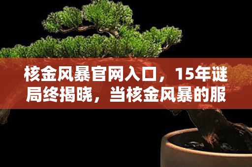 核金风暴官网入口,15年谜局终揭晓,当核金风暴的服务器最后一次闪烁,泪目了整个时代 核金风暴官网入口,15年谜局终揭晓,当核金风暴的服务器最后一次闪烁,泪目了整个时代