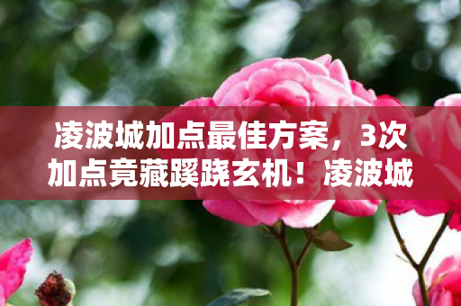 凌波城加点最佳方案,3次加点竟藏蹊跷玄机!凌波城玩家后背发凉,这哪是游戏? 凌波城加点最佳方案,3次加点竟藏蹊跷玄机!凌波城玩家后背发凉,这哪是游戏?