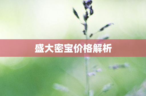 盛大密宝价格解析 盛大密宝价格解析