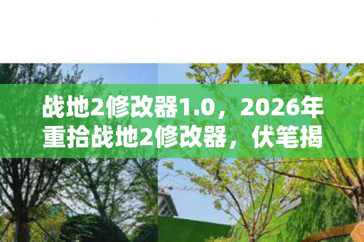 战地2修改器1.0,2026年重拾战地2修改器,伏笔揭开旧情,鼻子一酸忆往昔 战地2修改器1.0,2026年重拾战地2修改器,伏笔揭开旧情,鼻子一酸忆往昔