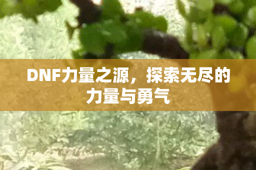 DNF力量之源,探索无尽的力量与勇气 DNF力量之源,探索无尽的力量与勇气