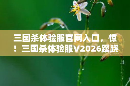 三国杀体验服官网入口,惊!三国杀体验服V2026蹊跷大改,老玩家直呼这还是我青春? 三国杀体验服官网入口,惊!三国杀体验服V2026蹊跷大改,老玩家直呼这还是我青春?