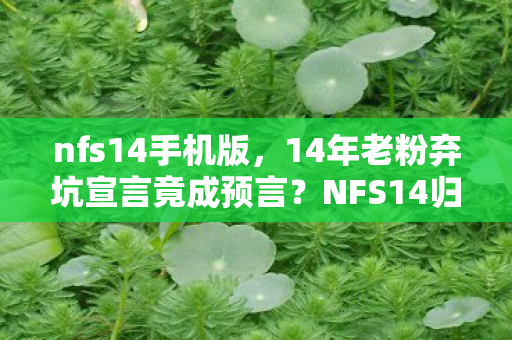 nfs14手机版,14年老粉弃坑宣言竟成预言?NFS14归来时我跪着删掉了退坑帖! nfs14手机版,14年老粉弃坑宣言竟成预言?NFS14归来时我跪着删掉了退坑帖!