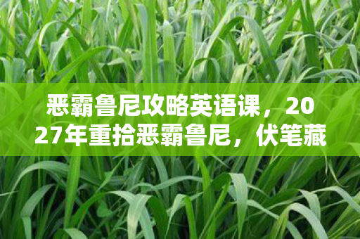 恶霸鲁尼攻略英语课，2027年重拾恶霸鲁尼，伏笔藏满青春，鼻子一酸忆往昔